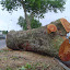 DSC03742.JPG