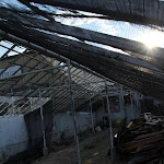 IMG_3730.jpg