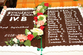 25-4.B-Gym.ZV-2009.jpg