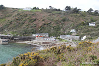 IMG_7989.JPG Photo