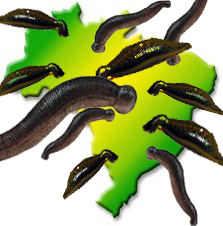 [image%255B3%255D.png]