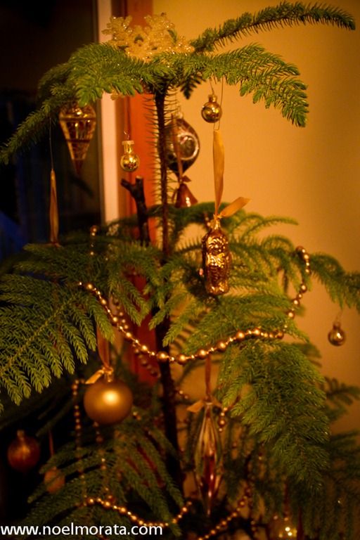 [IMG_91785.jpg]