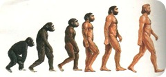 darwin_scala-uomini darwin_scala-uomini