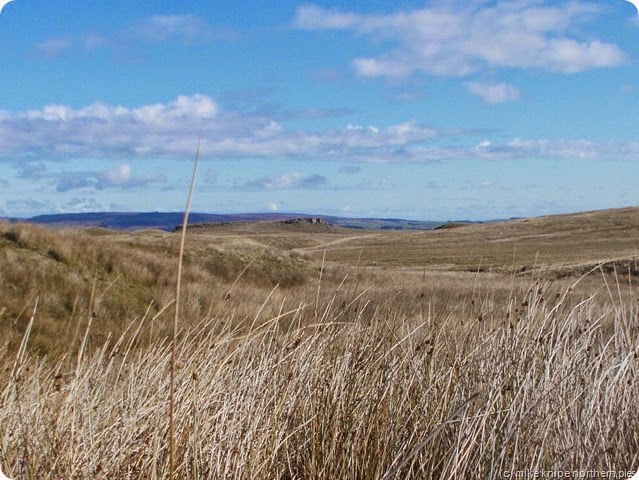 goldsborough from pennine way goldsborough from pennine way