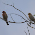 P1060401