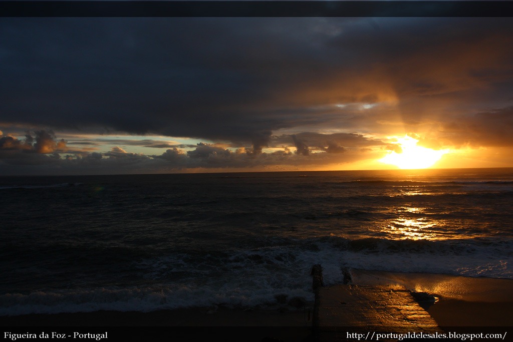 [IMG_4447%255B3%255D.jpg]