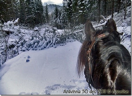 ardvinna-30-12-2011_01