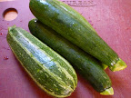 Fresh from the farmers' market zucchini-two different types.