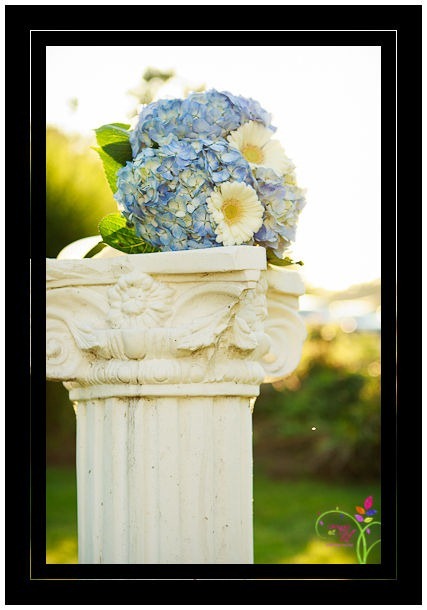 AlbanyWedding-7132