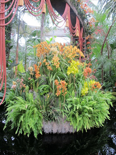Upon entering the Enid A. Haupt Conservatory, there was a stunning display of orchids and ferns in the reflecting pool.