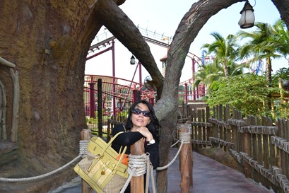 DSC_1909 DSC_1909