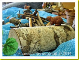 IMG_2844 IMG_2844
