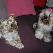 Charlotte et Ulysse