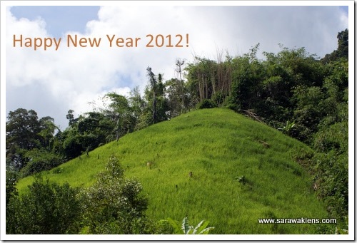 hill_paddy_padi_bukit