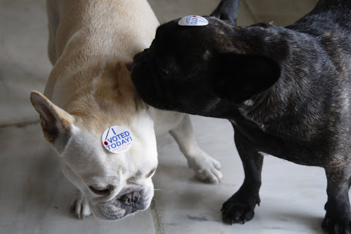 If I whisper who I voted for, will you tell me your vote?
