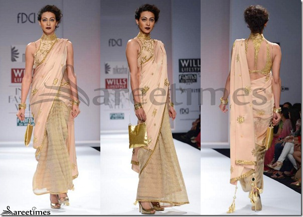 Nikasha_Half_and_Half_Saree
