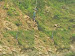 JumpinHeights3.mpg