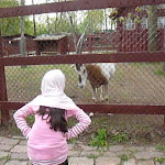 P1090687.JPG