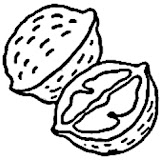 nueces.jpg