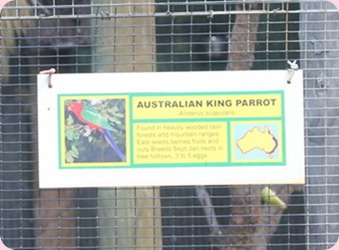 IMG_0249_resize