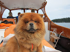 I am such a fine first mate!  Don't you agree?