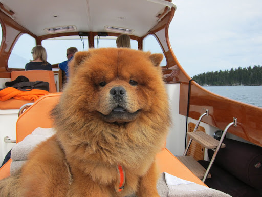 I am such a fine first mate!  Don't you agree?