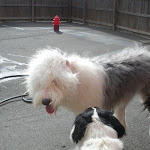 DSCN4553.jpg