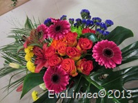 IMG_5077 IMG_5077
