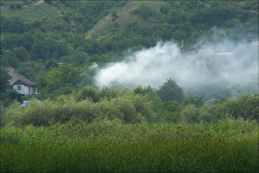 450_1422.jpg