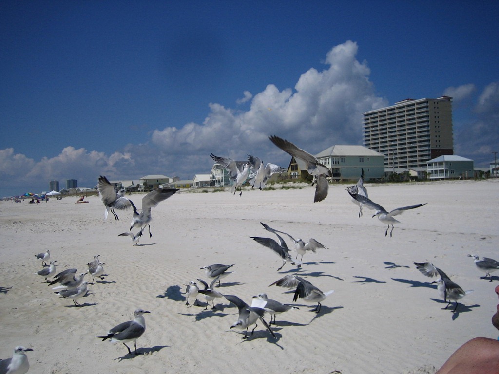 [IMG_0850%255B1%255D%255B4%255D.jpg]