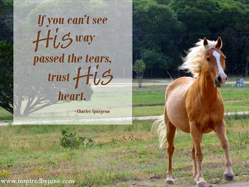 [Horse_Quote3.jpg]