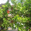 DSCN1363.JPG