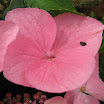 5 Dec 09 353800.jpg