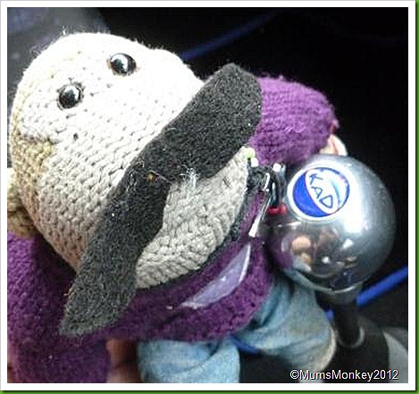 Mini Gear stick Mini Gear stick
