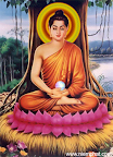 The Lord Sakyamuni Buddha slideshow featuring Seattle The Lord Sakyamuni Buddha slideshow