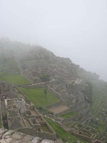 [IMG_14788.jpg]