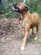 [Patas211734.jpg]