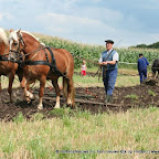graanoogst-09-045.jpg
