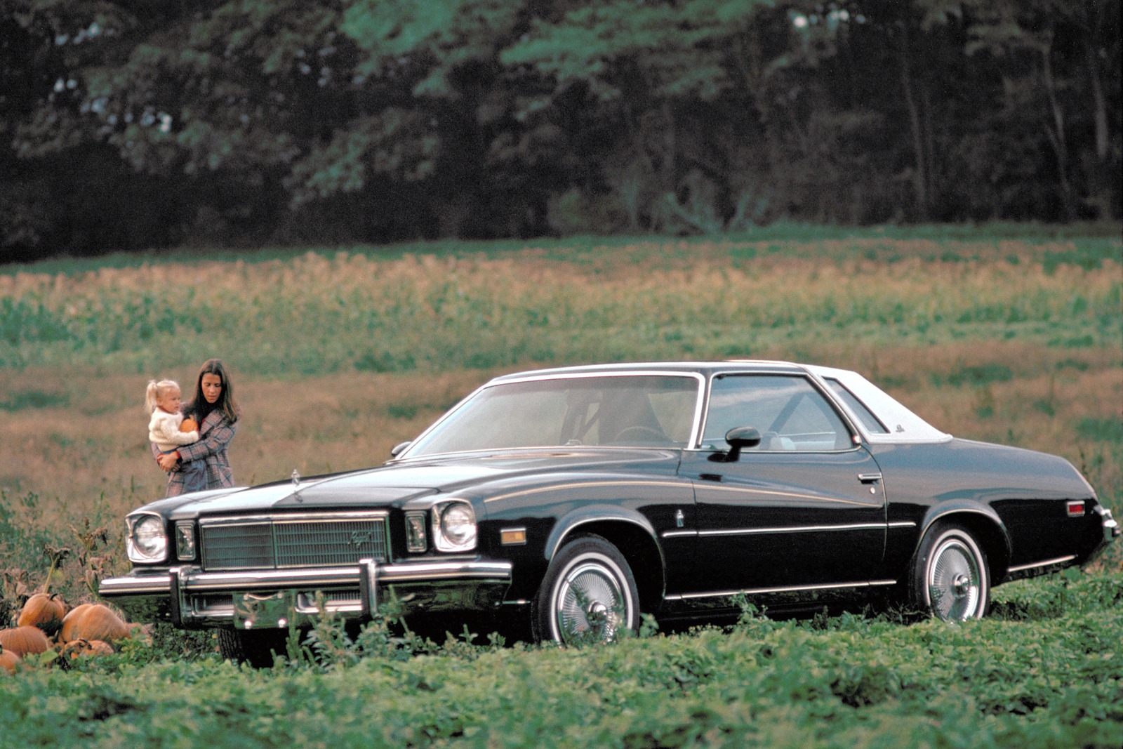 [1975-Buick-Regal-Coupe%255B3%255D.jpg]