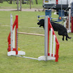 DSC00801.JPG