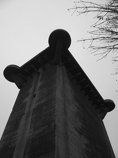 DSCF5389.JPG