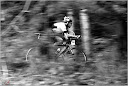 Roth_2010_187.jpg