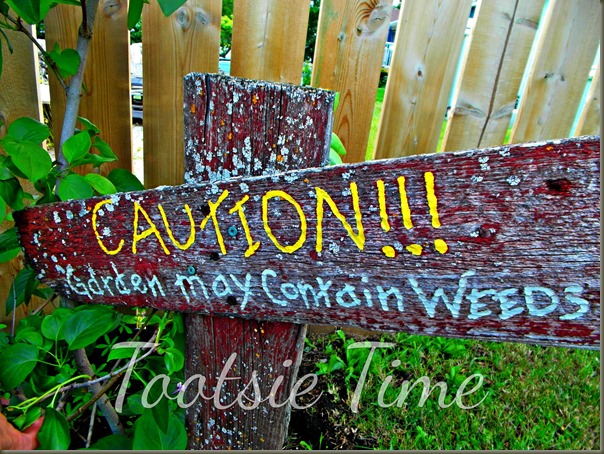 BeFunky_127.jpg BeFunky_127.jpg