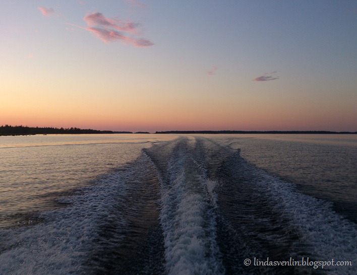 DSC_0892 (2)1