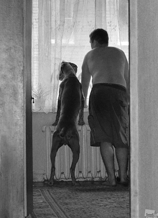 [800%25284%2529%255B3%255D.jpg]