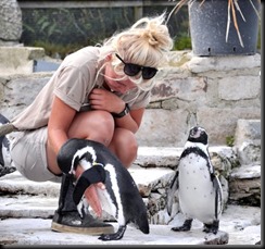 Becky with the penguins