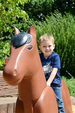 Luke horse