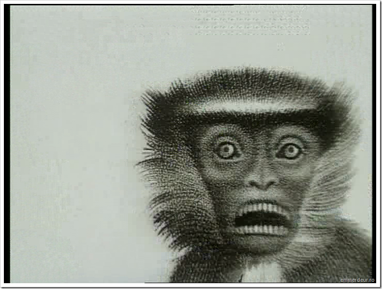 jan svankmajer historia naturae emmerdeur_523 jan svankmajer historia naturae emmerdeur_523