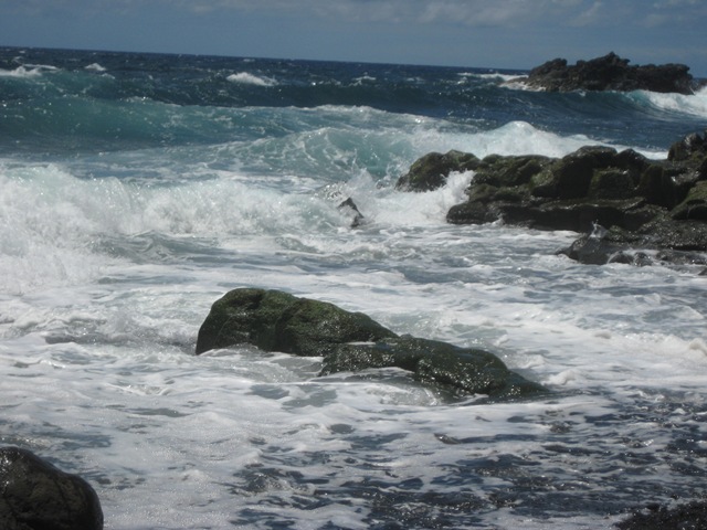 [IMG_2629%255B3%255D.jpg]