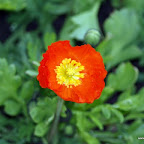 20100402_204.JPG
